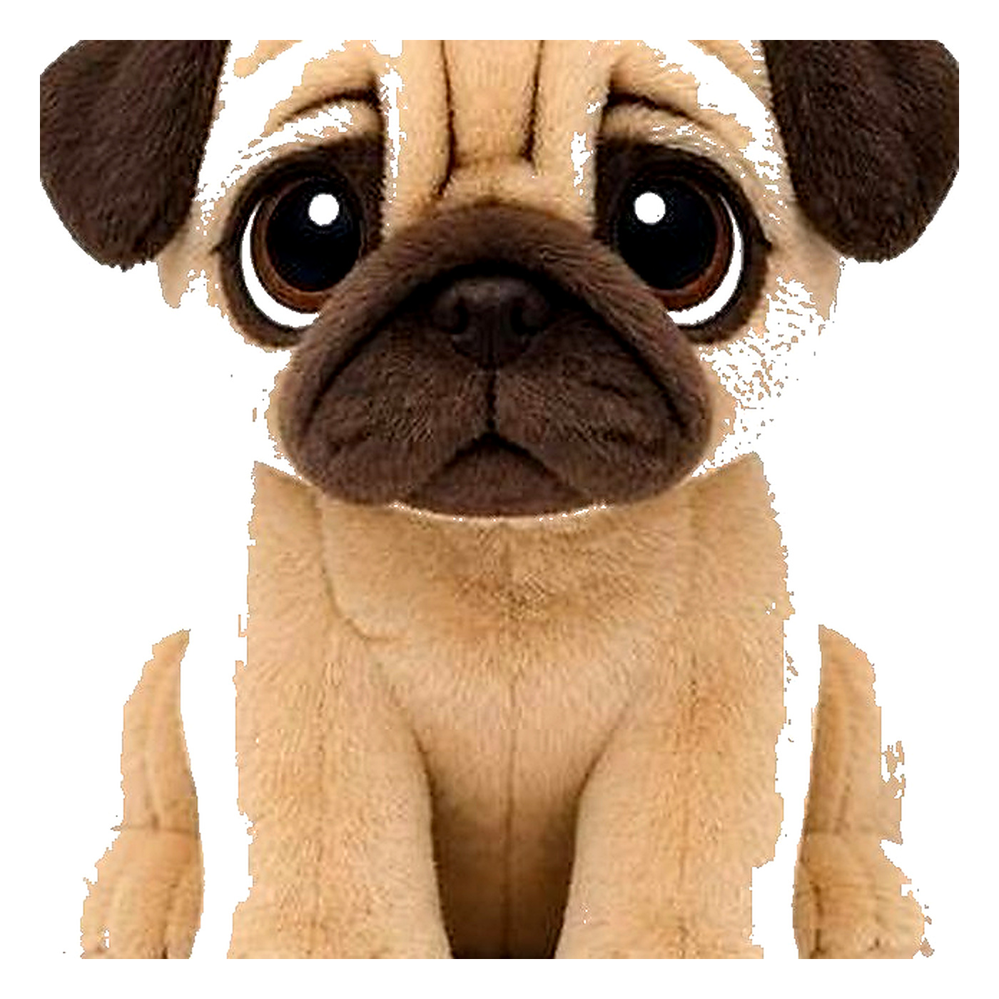 Dolls & Plush Toys