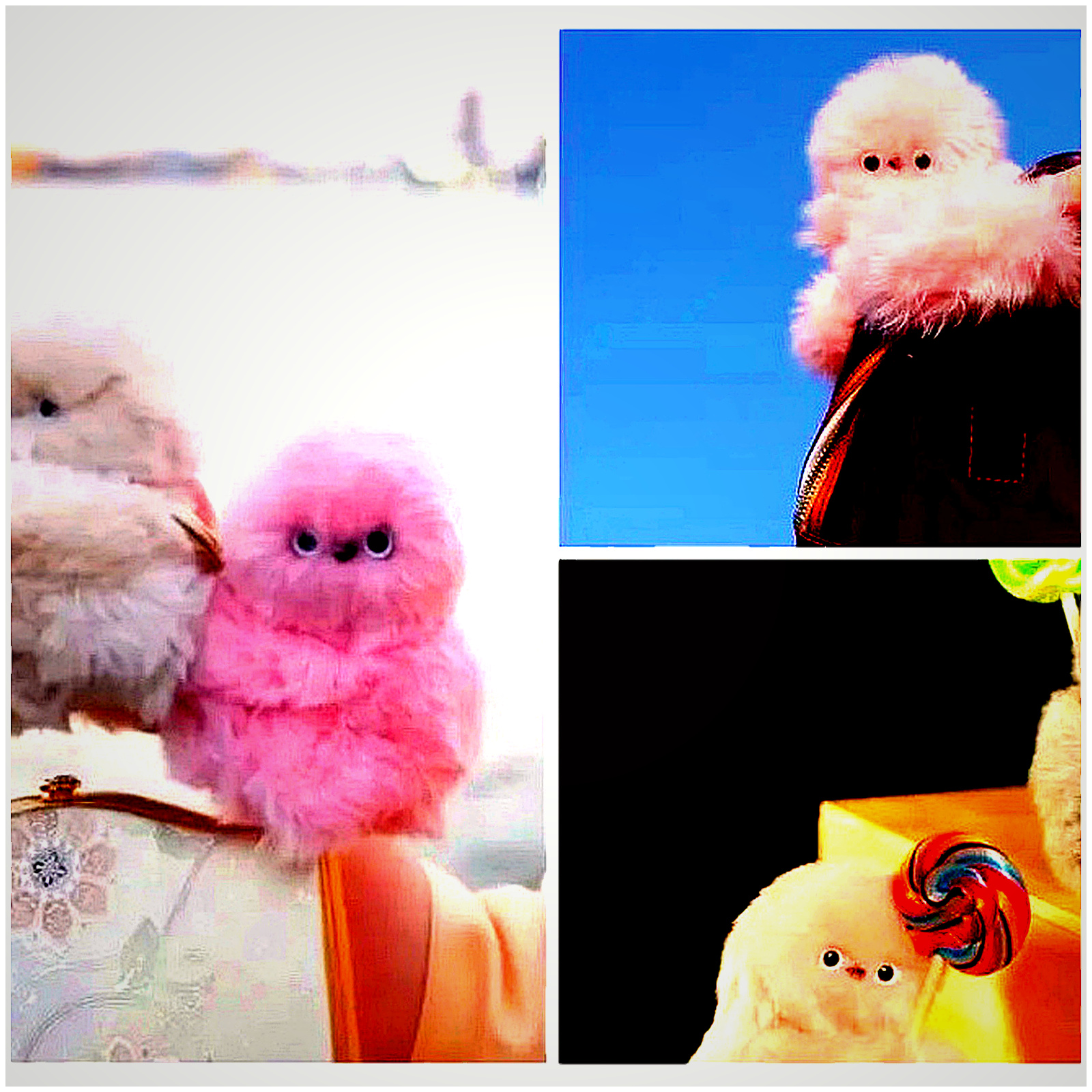 Fluffy Monster Bag Charm