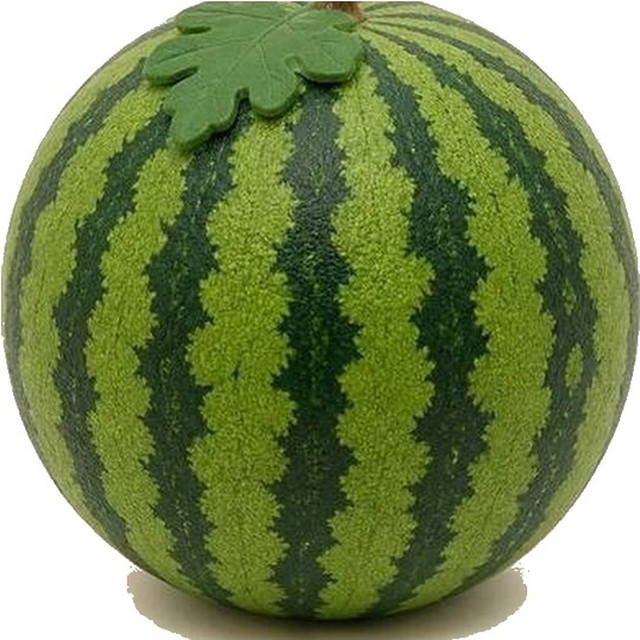Jumbo Watermelon Squishy
