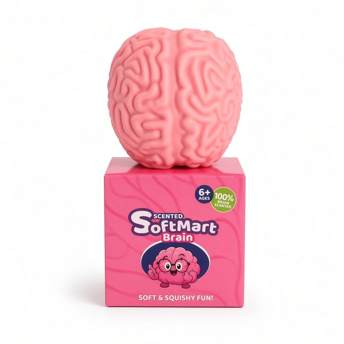 Brain PET Box Squishy