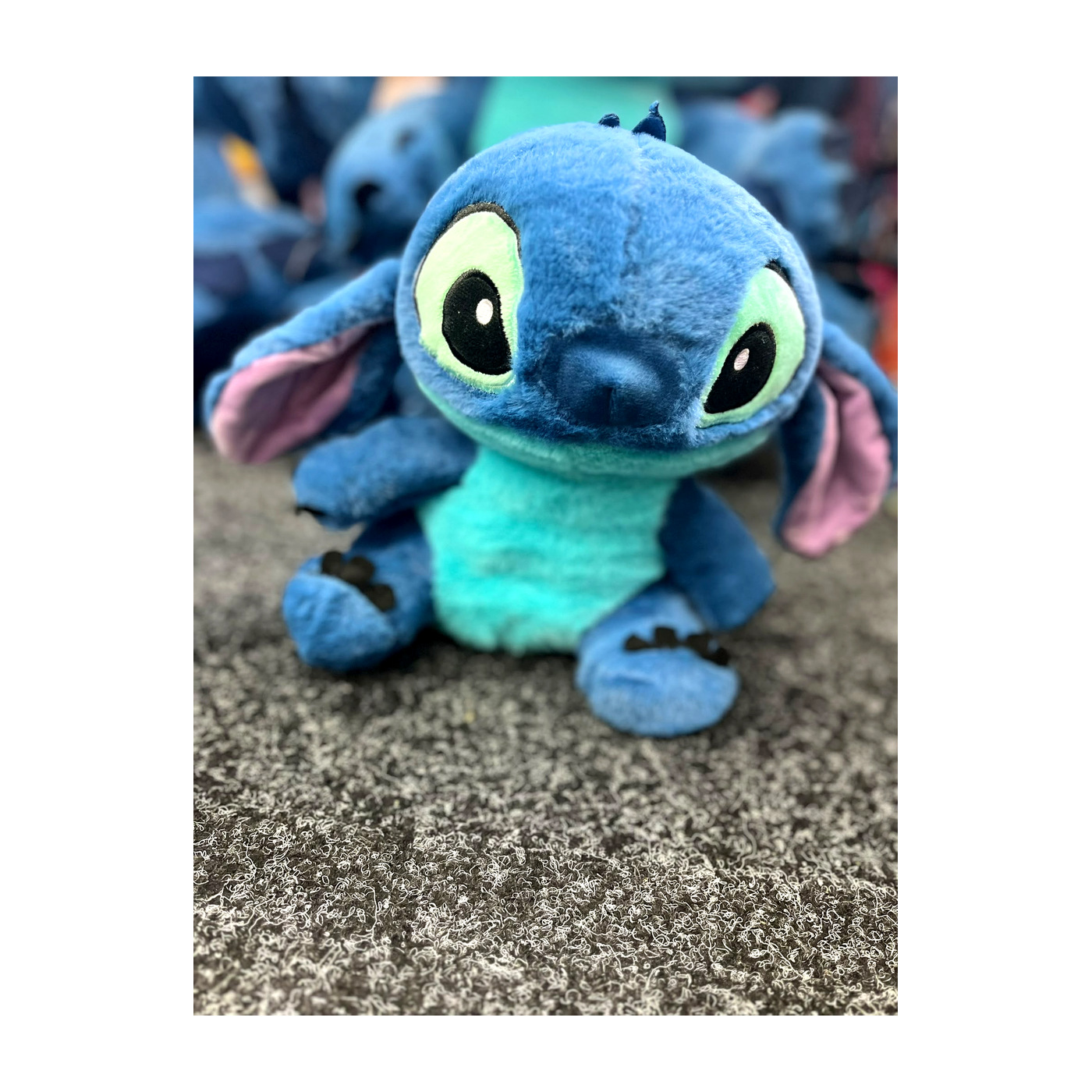 Star Buddy Plush 05